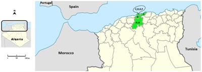 First detection and molecular characterization of rabbit hemorrhagic disease virus (RHDV) in Algeria